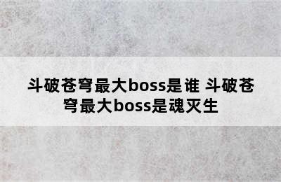 斗破苍穹最大boss是谁 斗破苍穹最大boss是魂灭生